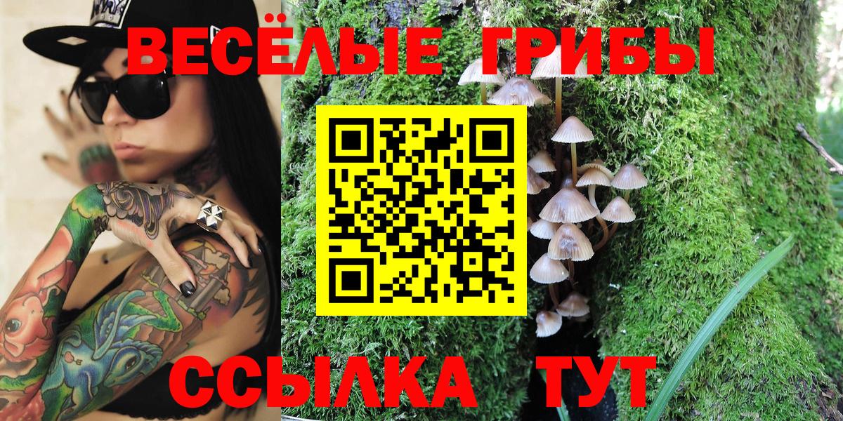 Галлюциногенные грибы Magic Shrooms Удомля