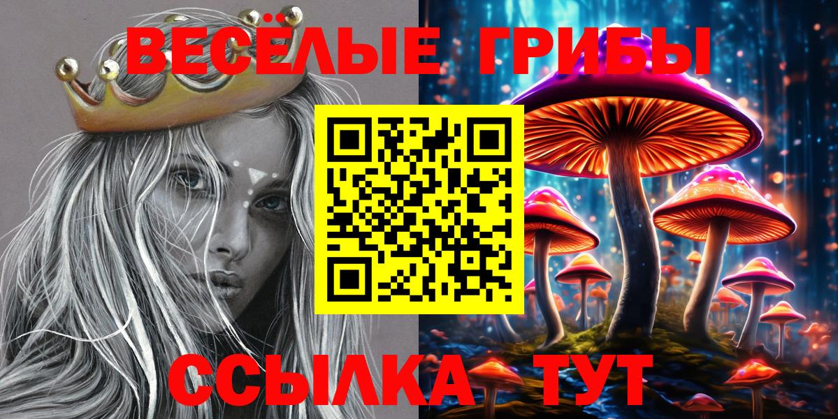 Удомля  продажа наркотиков  Вход с VPN  Галлюциногенные грибы Psilocybe 